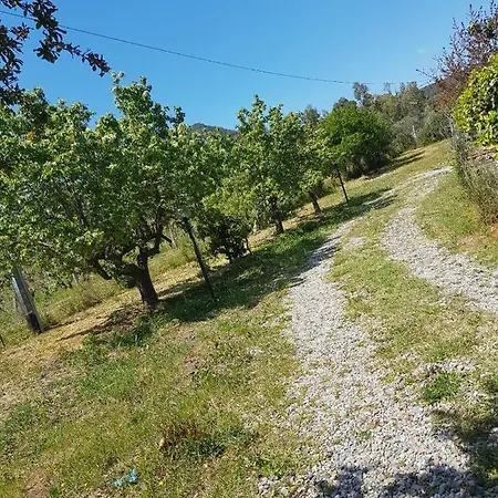 Chalet Sardegna