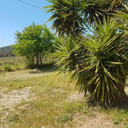 Chalet Sardegna Dağ evi